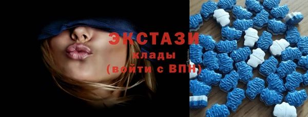 стаф Алзамай
